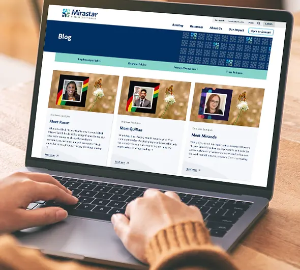 Person browsing the website blog